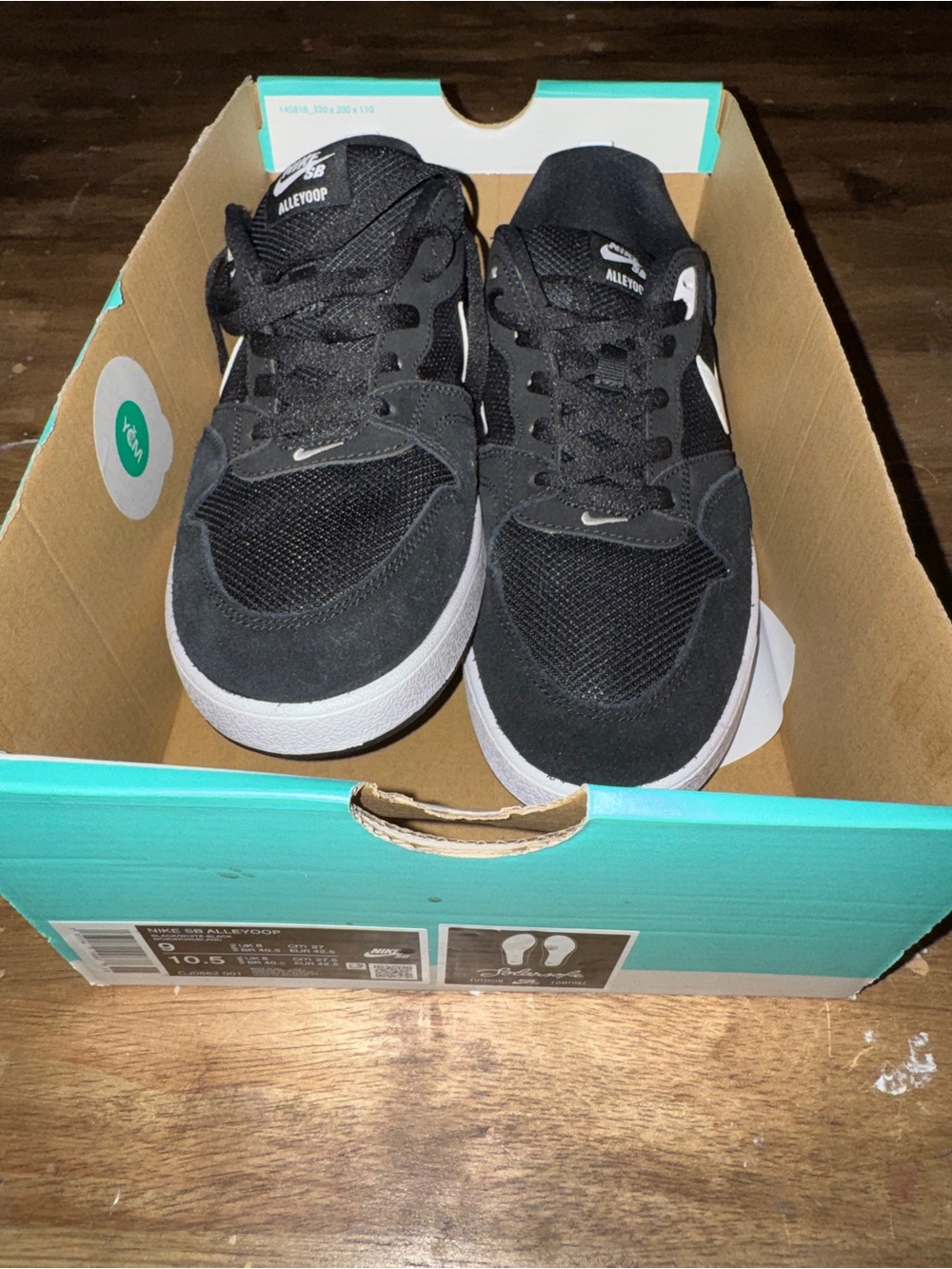 Nike SB Alleyoop Black & White Skate Shoes